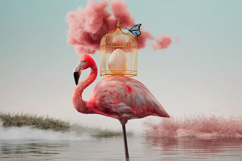 Beatriz Romero / BEETA